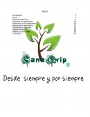 Caso empresa Sana Grip S.A de C.V