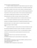 ESTADO DE RESULTADOS PRESUPUESTADO