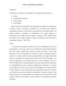 Ensayo Comprobantes Electrónicos