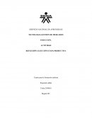 Reflexión Etapa Productiva