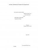 Actividad 2: Identificación & Propósito de las Organizaciones