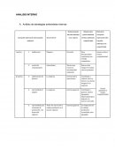 Análisis de estrategias ambientales internas