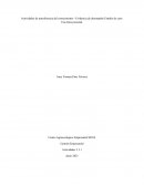 Evidencia de desempeño Estudio de caso: Una ética personal