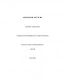 TEORÍAS POSTMODERNAS EN PSICOTERAPIA