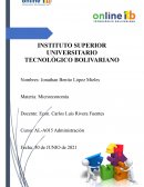 Tarea virtual 1: Determinación de la demanda de mercado