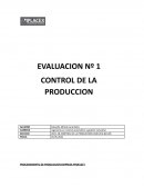 PROCEDIMIENTO DE PRODUCCION EMPRESA PROELECT