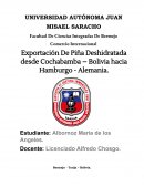 Proyecto exportacion de piña