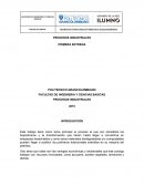 PROCESOS INDUSTRIALES