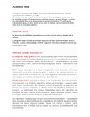 Actividad física. Desarrollo motriz