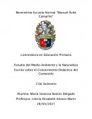 Conocimiento didáctico de contenido