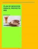 MODELO PLAN DE NEGOCIOS