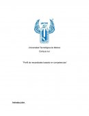 Perfil de necesidades basado en competencias