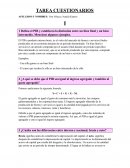 Cuestionario I Economia