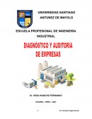Diagnostico y Auditoria de empresarial