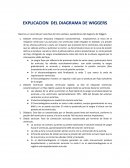 Diagrama de Wiggers
