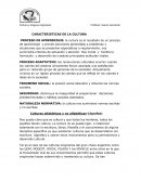 Cultura y lenguas originarias