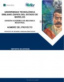 Rediseño máquina empacadora