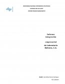 Estrategias de integración en Laboratorio Behrens