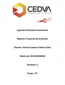 Inversiones fijas y diferidas