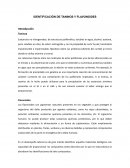 Identificación de taninos