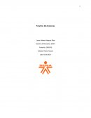 Portafolio: Mis Evidencias