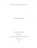 Pedagogía Y Tic Especialización En Aplicaciones De Tic Para La Enseñanza