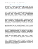 Sistemas de combustible y mantenimiento