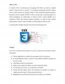 LENGUAJE DE PROGRAMACIÒN CSS