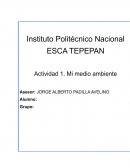 Mi medio ambiente