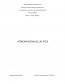 ATENCION SOCIAL DE LAS PCD
