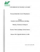 Ensayo Estudio de micromovimientos