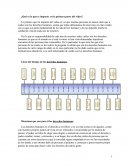 ¿Qué es lo que te impacto en la primera parte del video?