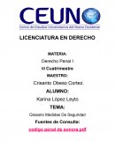 Glosario Medidas De Seguridad