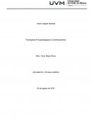 Paradigmas Psicopedagógicos Contemporáneos