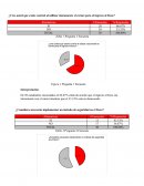 ¿Cree usted que existe control al utilizar únicamente el carnet para el ingreso al Itsco?