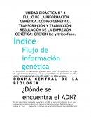 Flujo de la información genética. Código genético. Transcripción y traducción