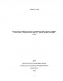 Técnico administrativo