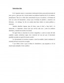 Actividad 2 El procesador de texto