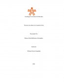 Técnicas de cultura en el mundo de hoy