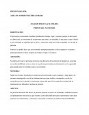 ANALISIS PELICULA EL SOLISTA