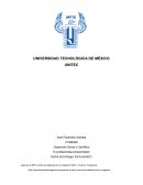Desarrollo Social y Científico. El profesionista emprendedor