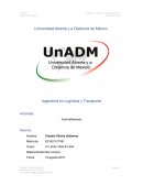 Auto reflexiones. Valores y proyecto de vida