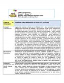 OBSERVACIONES APRENDIZAJES BÁSICOS LOGRADOS