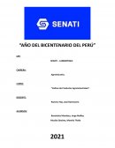 Cultivo de productos agroindustriales