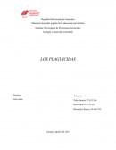 Ecología y desarrollo sustentable . Los plaguicidas