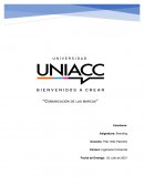 Comunicacion Marcas Brand