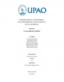 La investigación científica