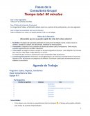 Fases de la Consultoría Grupal