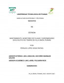 MEMORIA DE ESTADIA MANTENIMIENTO, MONITOREO DE PLAGAS Y ENFERMEDADES EN ELCULTIVO DE TOMATE EN VILLA UNION, POANAS