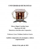 Análisis comparativo de estrategias y cultura organizacional
